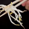 Scientists Baffled After Bean Sprouts Cleared Of E. Coli Accusations